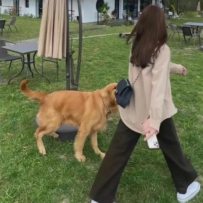 誓言今生